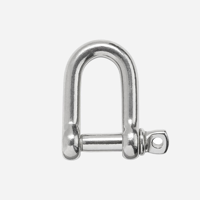 Dee Shackle